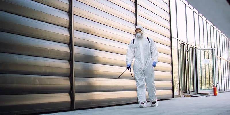 Pest contro; tech spraying